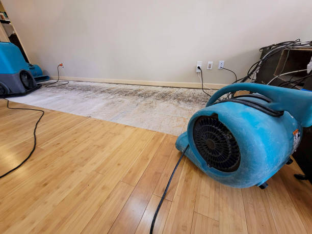 Professional Basement Flood Cleanup technician working in Salem, OR